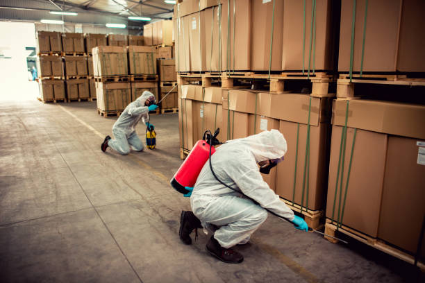 Best Best Pest Control Companies  in New Franklin, OH