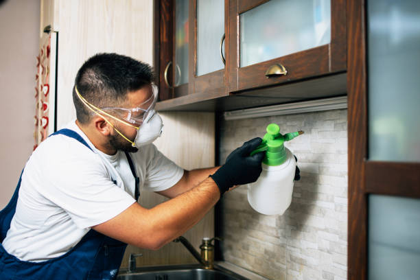 Best Affordable Pest Control Services  in New Franklin, OH