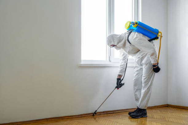 Best Wildlife Control Services  in New Franklin, OH