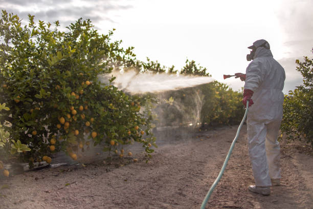 Best Affordable Pest Control Services  in New Franklin, OH