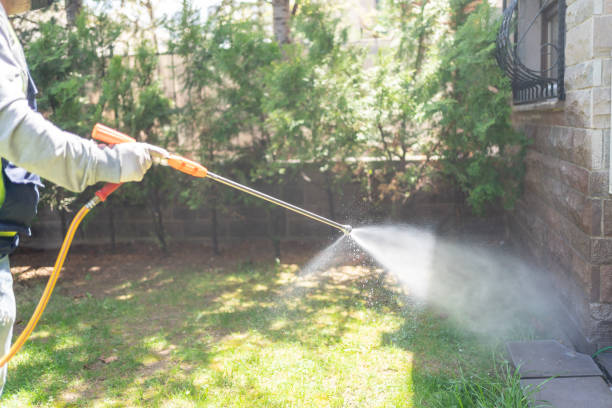 Best Best Pest Control Companies  in New Franklin, OH