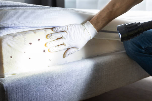 Best Pest Control Near Me  in New Franklin, OH
