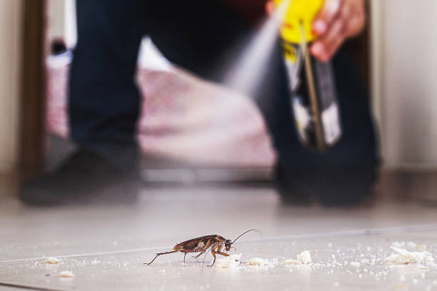 Best Affordable Pest Control Services  in New Franklin, OH